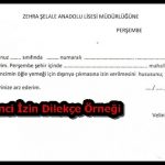 ogrenci-izin- dilekce-ornegi